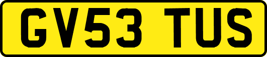 GV53TUS