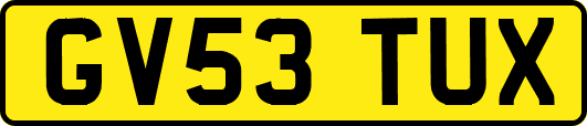 GV53TUX
