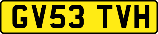GV53TVH
