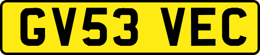 GV53VEC