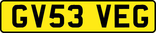 GV53VEG