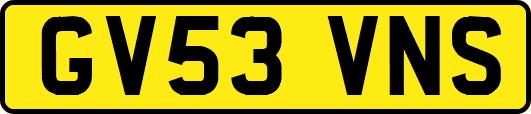 GV53VNS