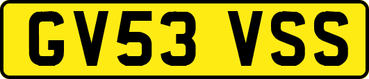 GV53VSS