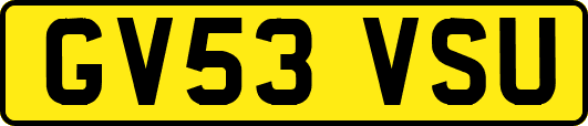 GV53VSU