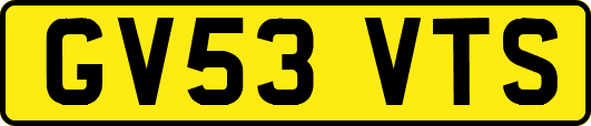 GV53VTS