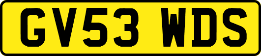 GV53WDS
