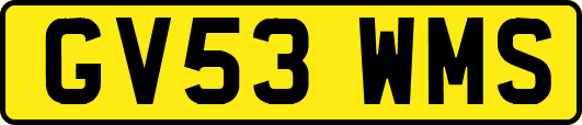 GV53WMS