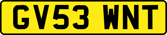 GV53WNT