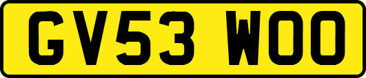 GV53WOO