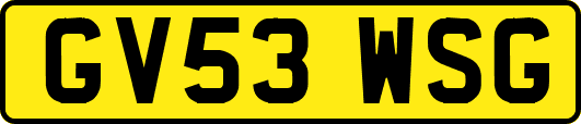 GV53WSG