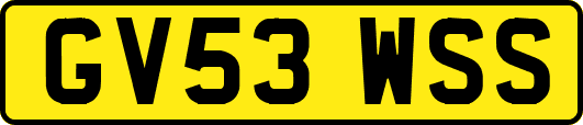 GV53WSS