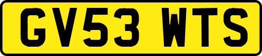 GV53WTS