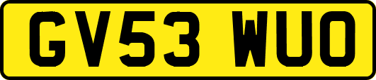 GV53WUO