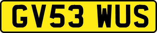 GV53WUS