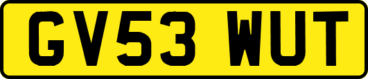 GV53WUT