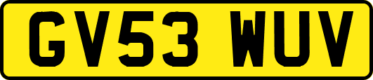GV53WUV
