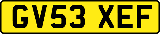 GV53XEF
