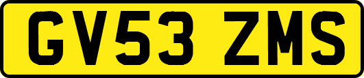 GV53ZMS