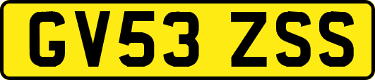 GV53ZSS