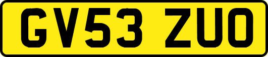 GV53ZUO