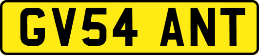 GV54ANT