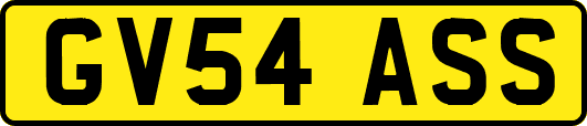 GV54ASS