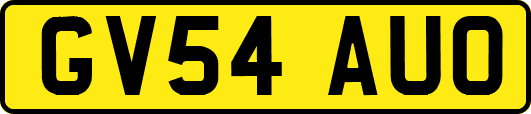 GV54AUO
