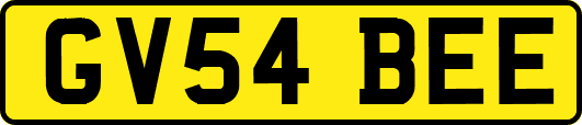 GV54BEE
