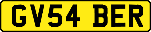 GV54BER