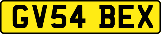 GV54BEX