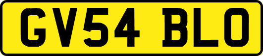 GV54BLO
