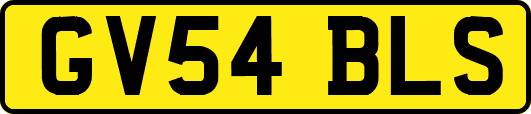 GV54BLS