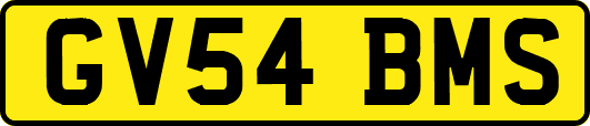 GV54BMS
