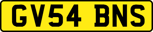 GV54BNS