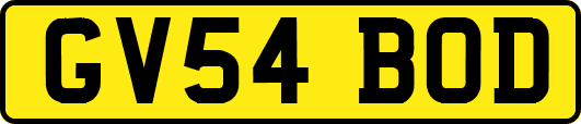 GV54BOD