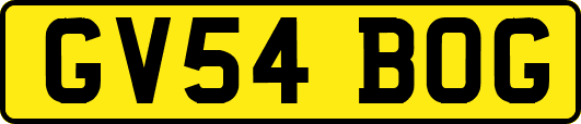 GV54BOG