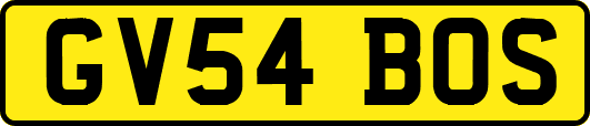 GV54BOS
