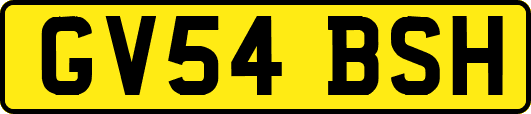 GV54BSH