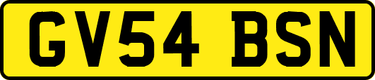 GV54BSN