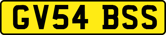 GV54BSS