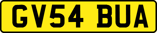 GV54BUA