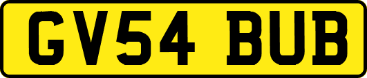 GV54BUB