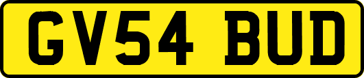 GV54BUD