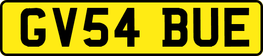 GV54BUE