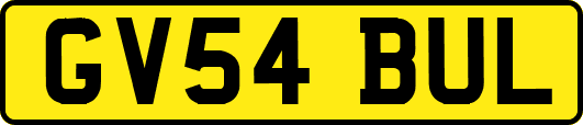 GV54BUL