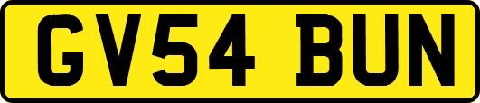 GV54BUN