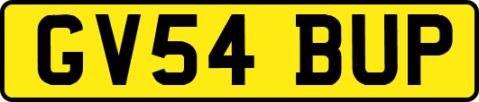 GV54BUP