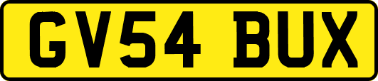 GV54BUX