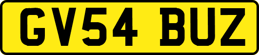 GV54BUZ