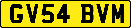 GV54BVM